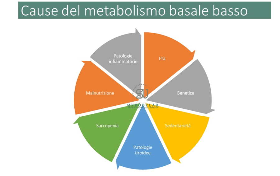 Cause del metabolismo basso