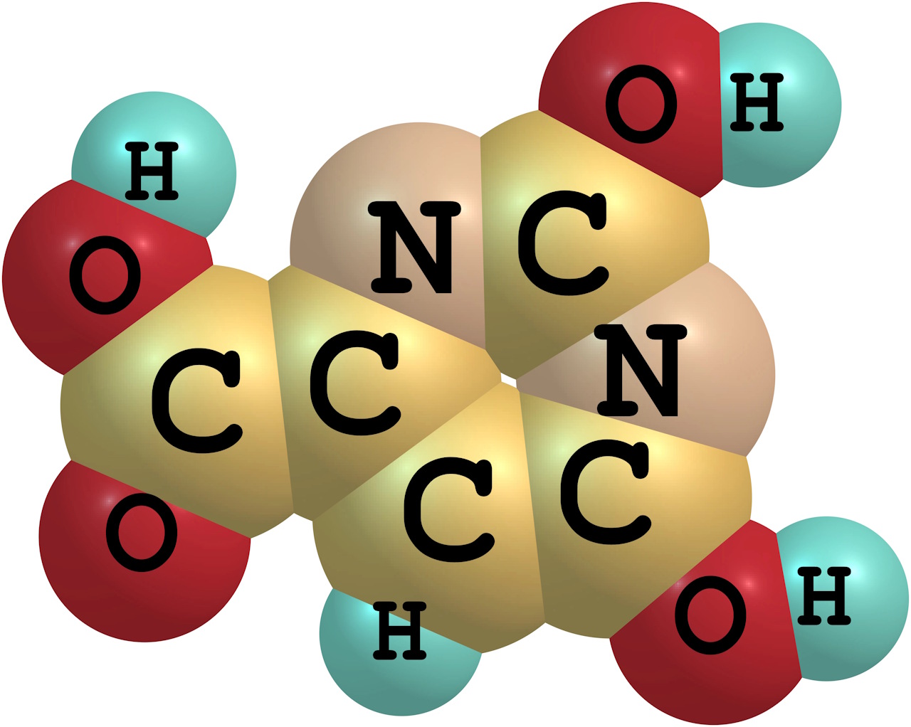 che cosa sono i chetoni esogeni