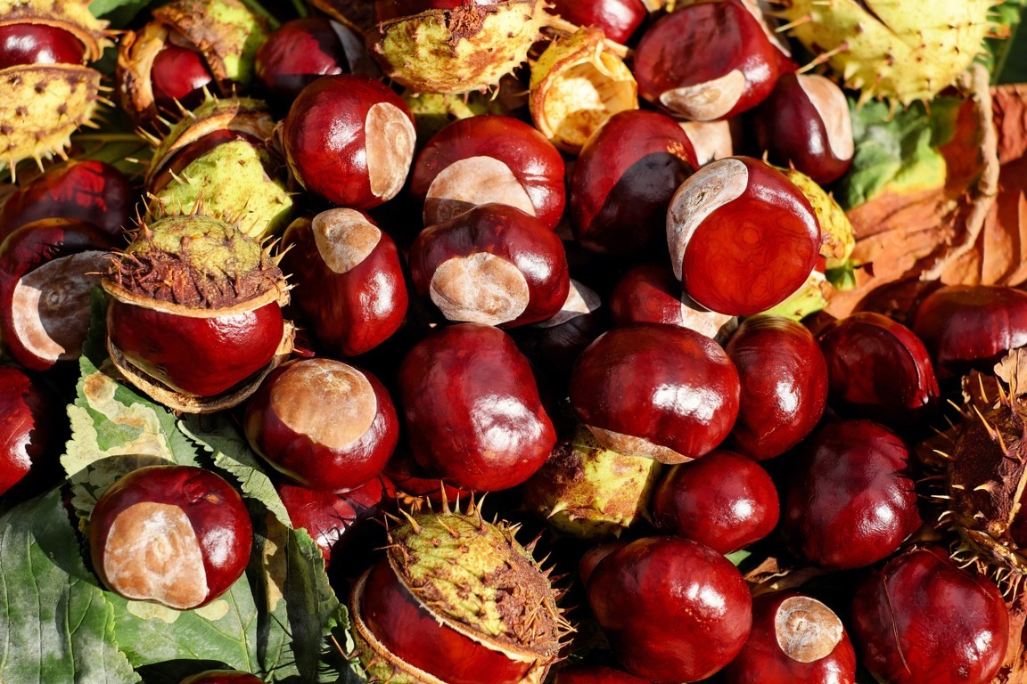 quali frutti fanno ingrassare