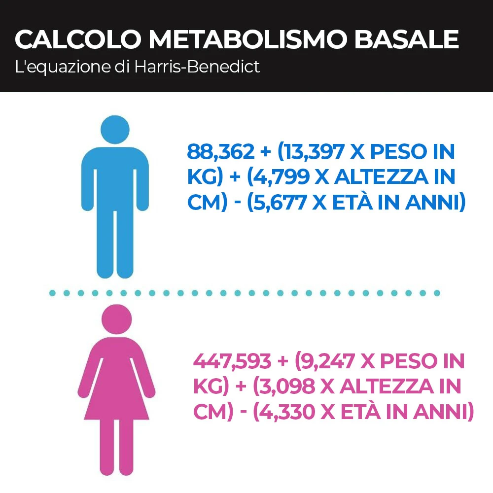 Calcolo fabbisogno calorico: guida facile e pratica
