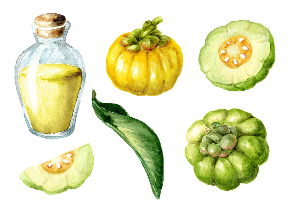 Garcinia Cambogia funziona per dimagrire